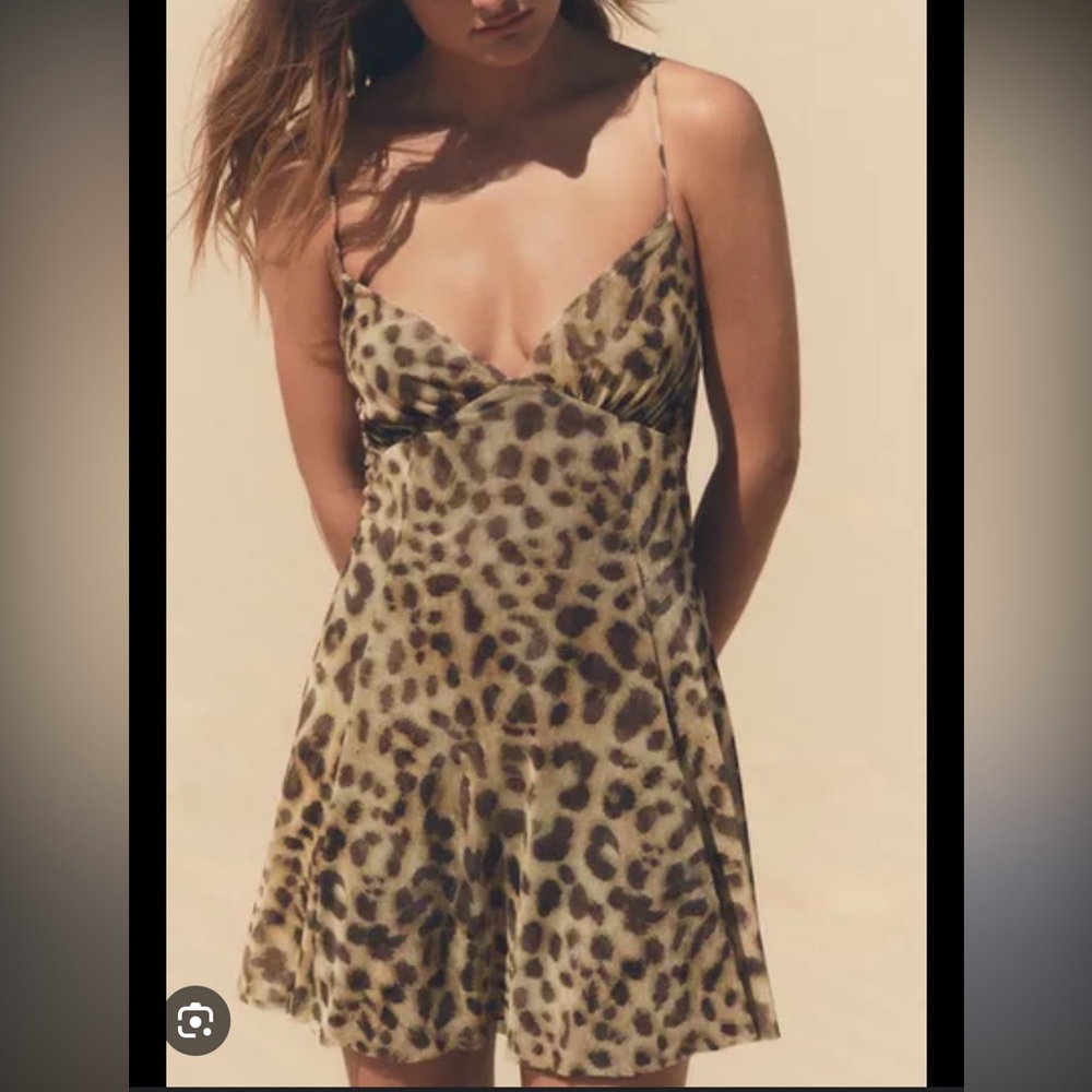 Zara Animal Print Dress